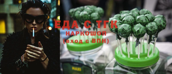 индика Арсеньев