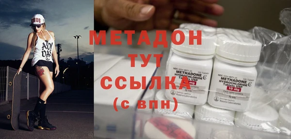 индика Арсеньев