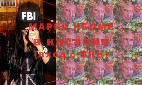 индика Арсеньев