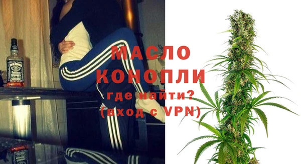 индика Арсеньев
