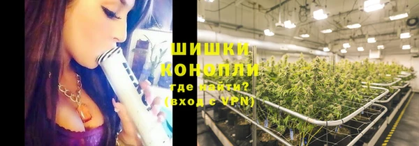 трава Армянск